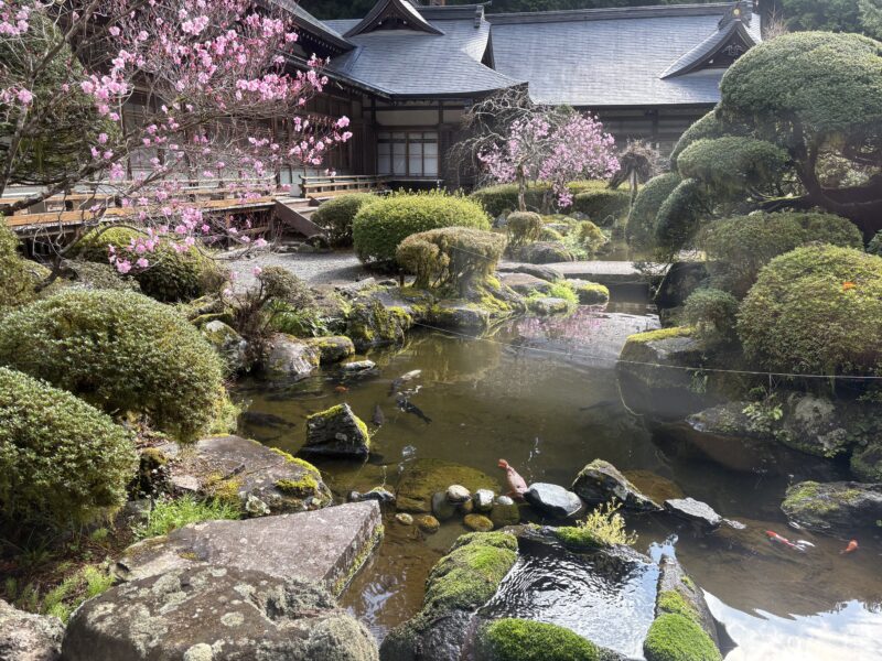 二荒山神社 安産祈願画像