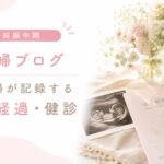 妊娠中期　妊婦健診内容　アイキャッチ画像